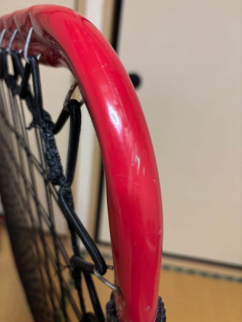 クレイジーキャッチWILD CHILD サッカー練習用ネット