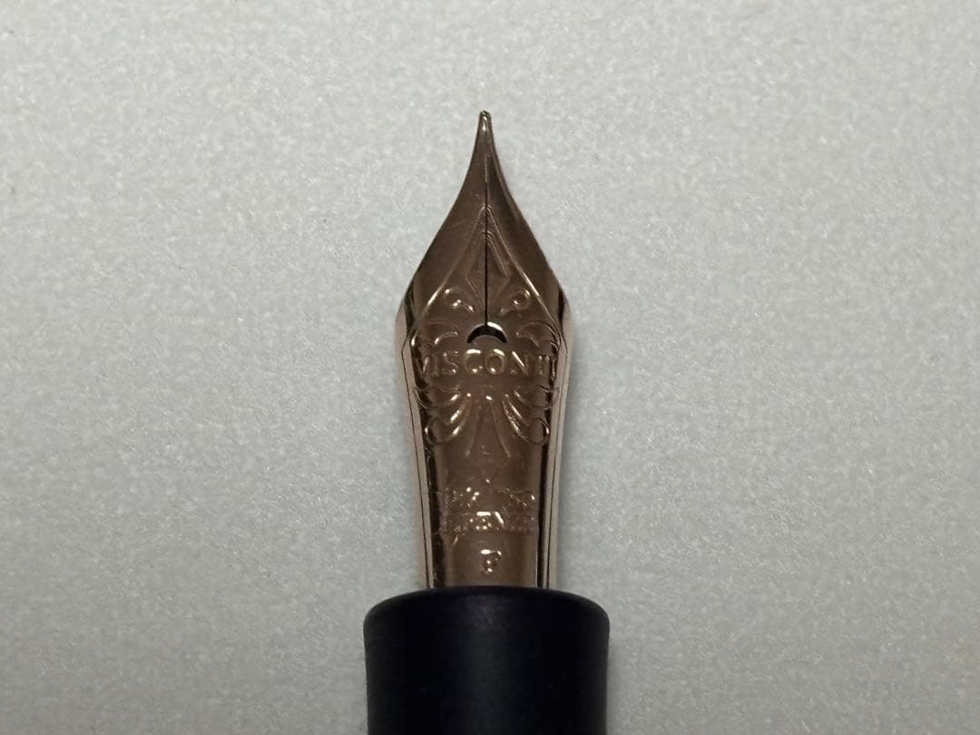VISCONTI ビスコンティ ホモ・サピエンス　万年筆　F
