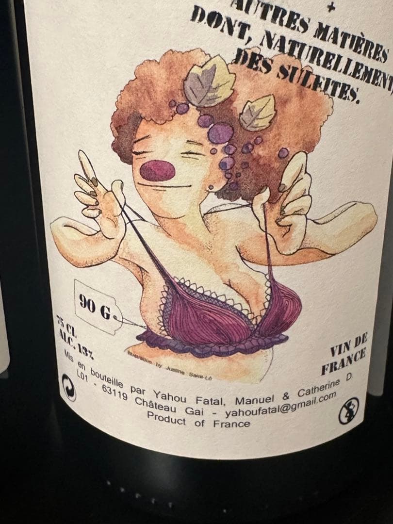 【特価】【自然派ワイン】人気ナチュラルワイン5本セット