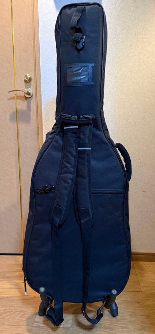 ギター Godin Multiac Nylon Encore Natural