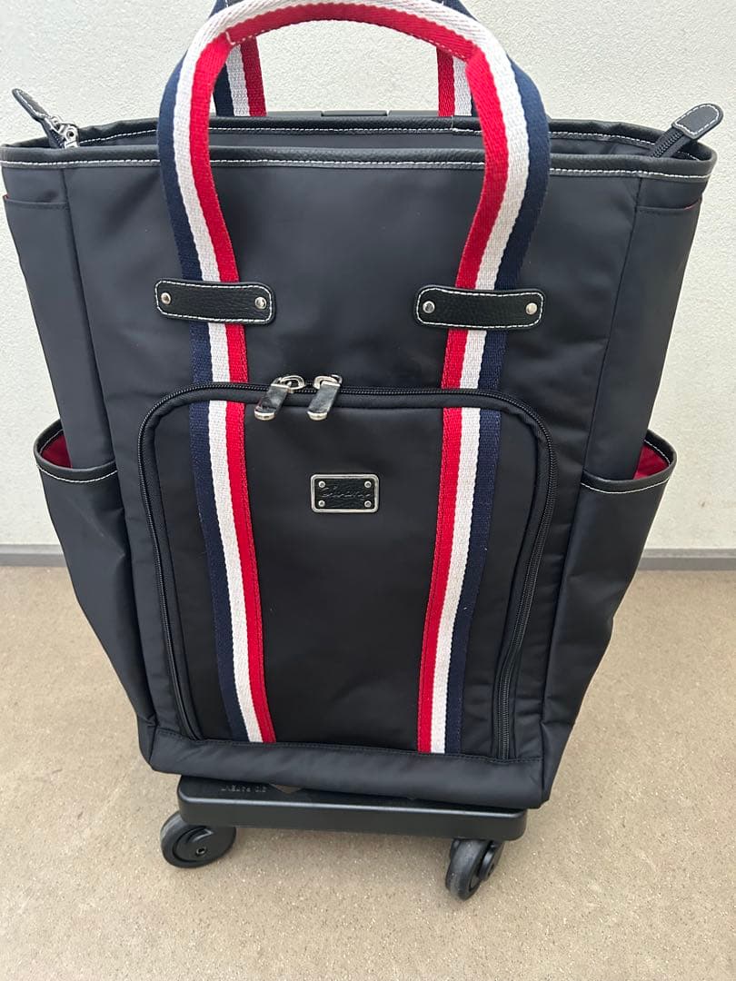 スワニーキャリーバッグLサイズ