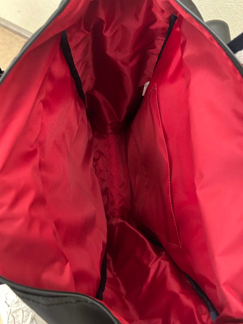 スワニーキャリーバッグLサイズ