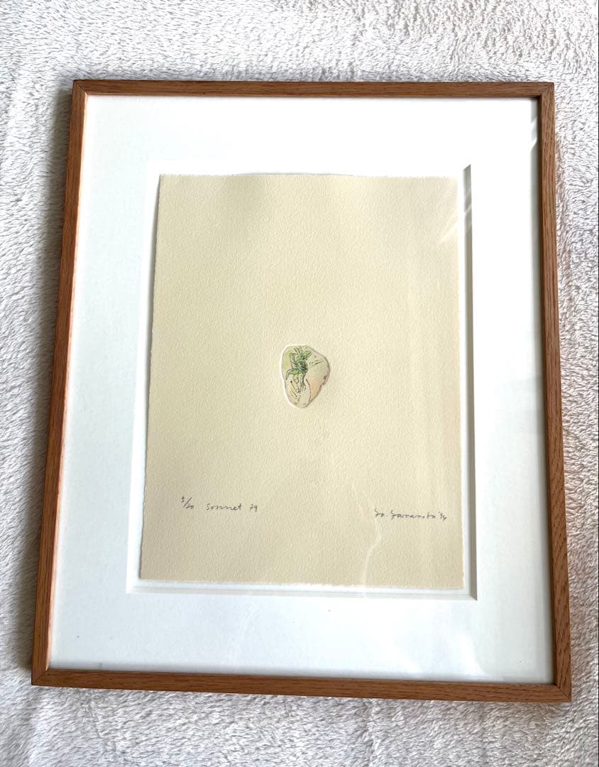 山本容子　版画　エッチング　手彩