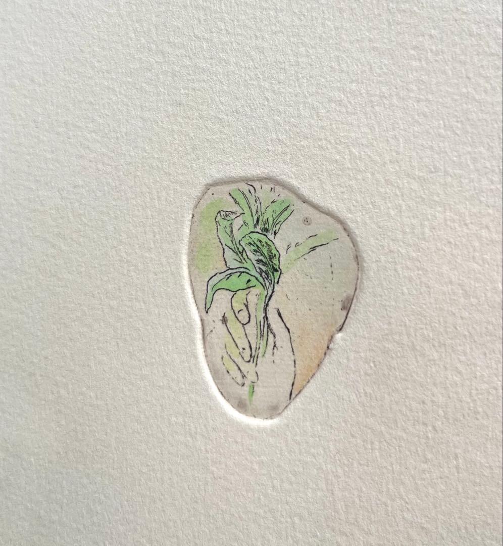 山本容子　版画　エッチング　手彩