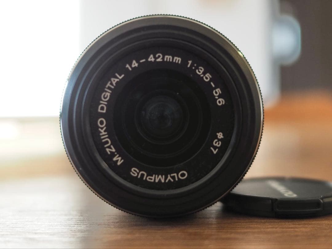 G VARIO 14-140mm & M.ZUIKO 14-42mm セット