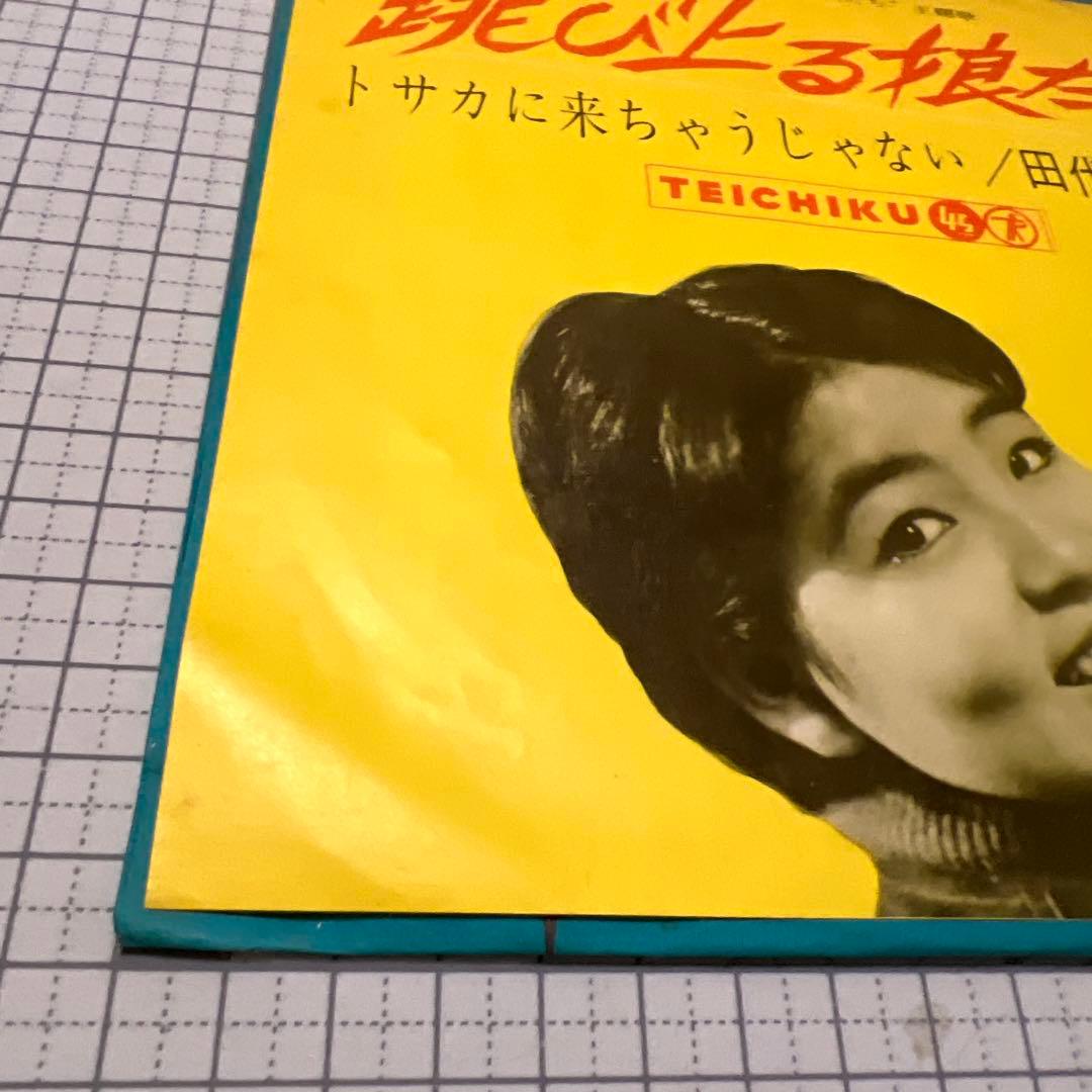 田代みどり　跳び上る娘たち　トサカに来ちゃうじゃない　NS-595 昭和歌謡