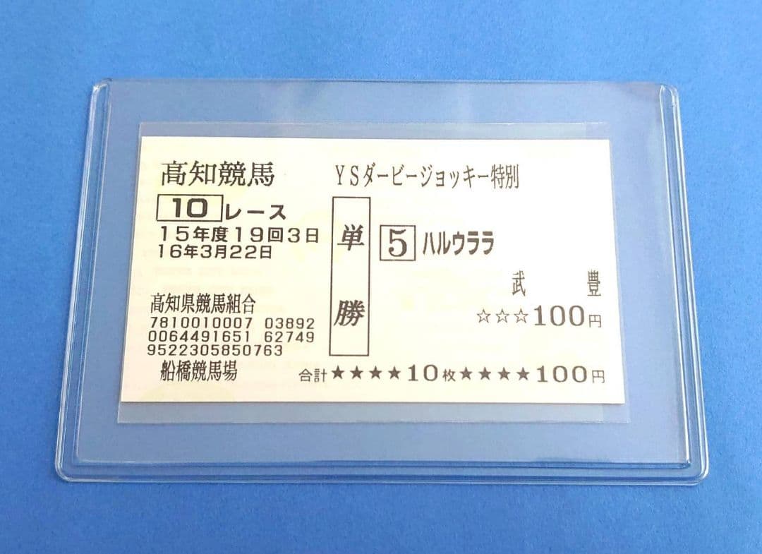 【稀少品】ハルウララ 競馬 ぬいぐるみ ウマ娘 アイドルホース 馬 AVANTI