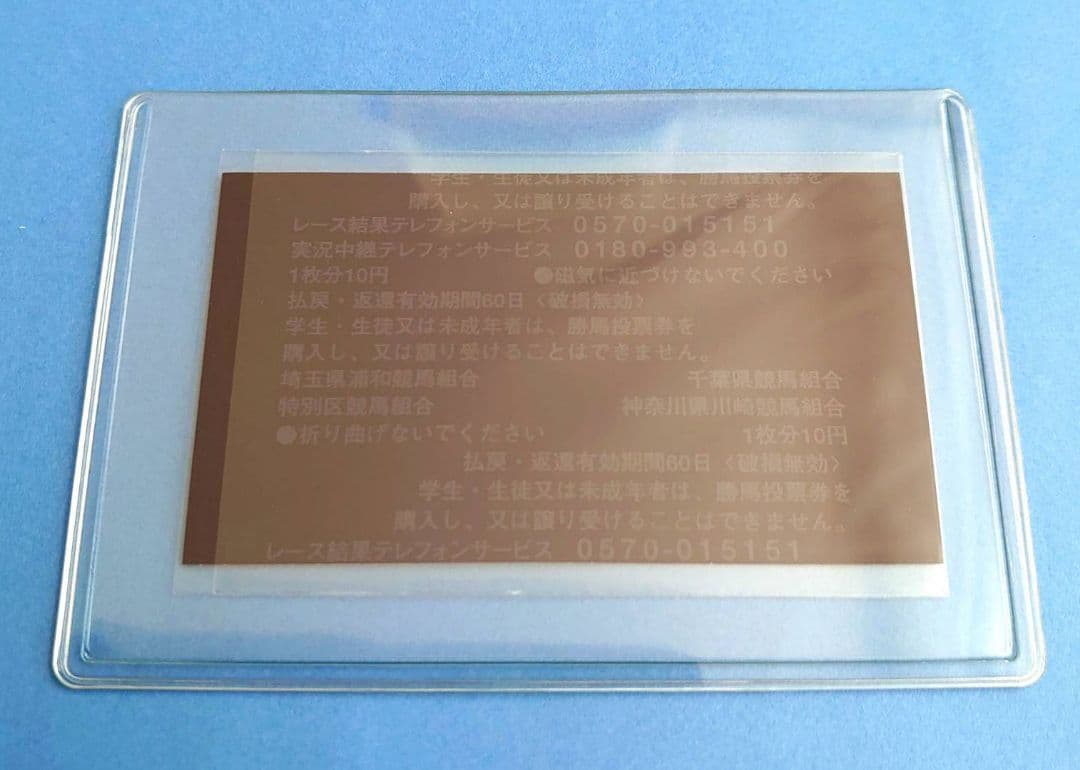 【稀少品】ハルウララ 競馬 ぬいぐるみ ウマ娘 アイドルホース 馬 AVANTI