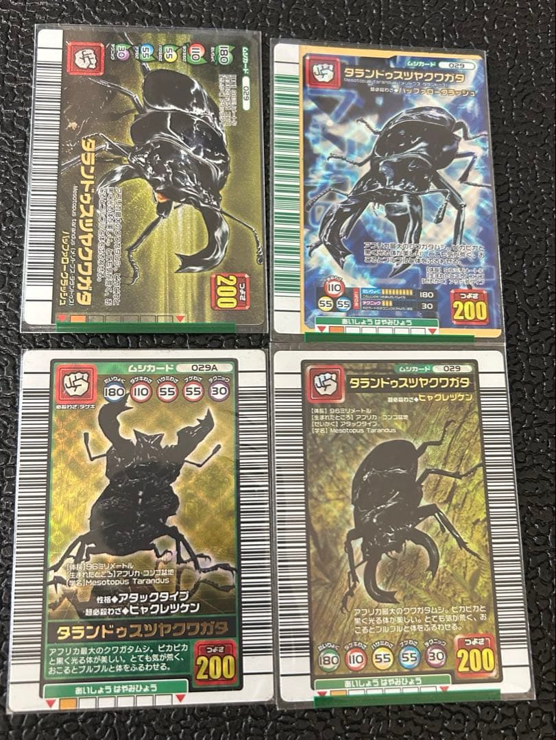 タランドゥスツヤクワガタ