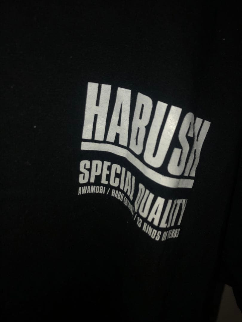 ミュージシャン awich HABUSH