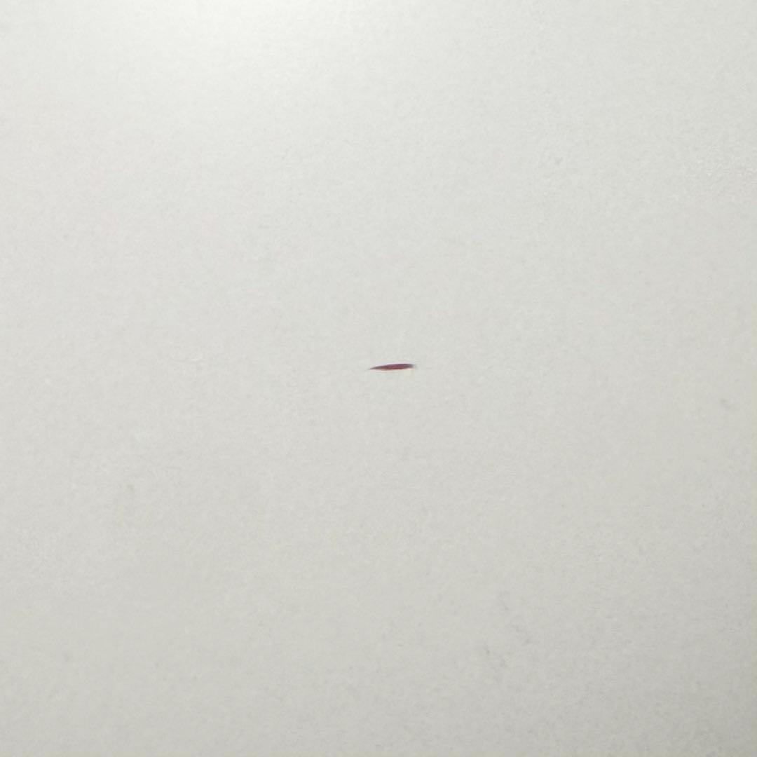 neikonuネイコヌ床暖房床冷ペットルーム