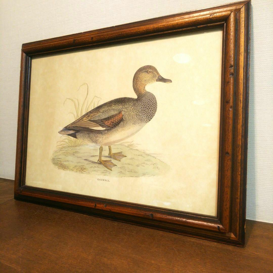 M*e様 Grafiche Tasgotti イタリアン プリント 水鳥 ４点セ