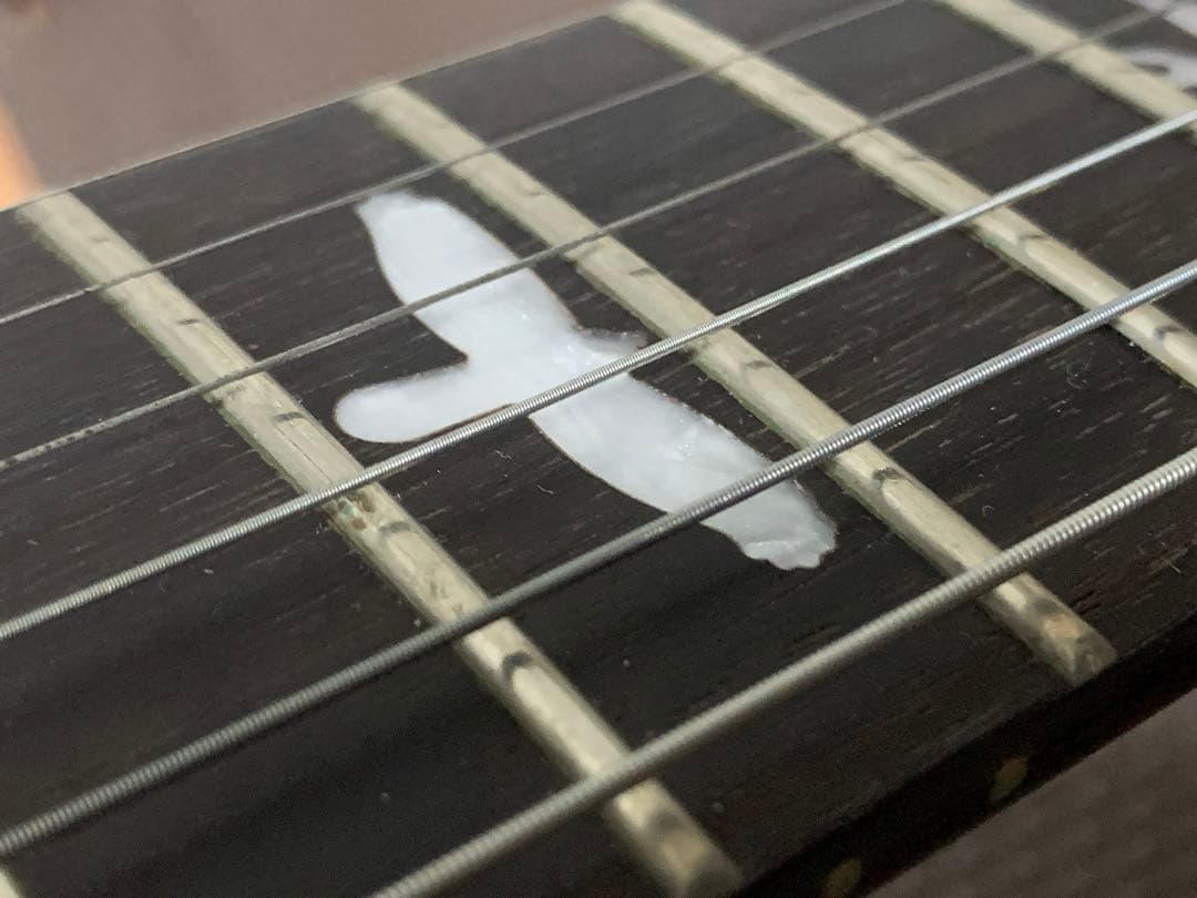 ギター PRS SE Custom 24 Paul Reed Smith flattop