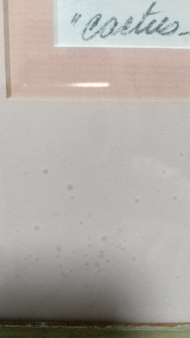 ヴァンガードスタジオ　サボテン　アンドレ　Vanguard Studio