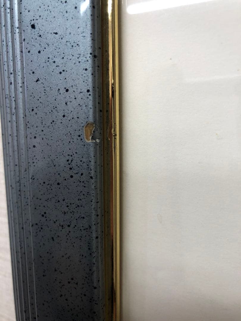 ジェーン・ウースター・スコット Jane Wooster Scott リトグラフ