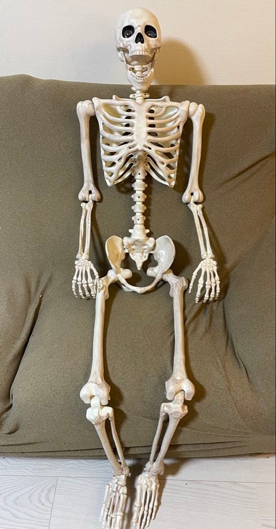 【デカすぎ！】ガイコツ　ハロウィン　人体模型　骨　ハロウィン　150cm