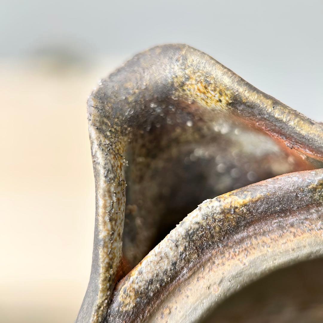 石田安弘 備前焼梅宝瓶 般若心经 人気作者 急須 共箱 共布 茶注 煎茶 茶道具