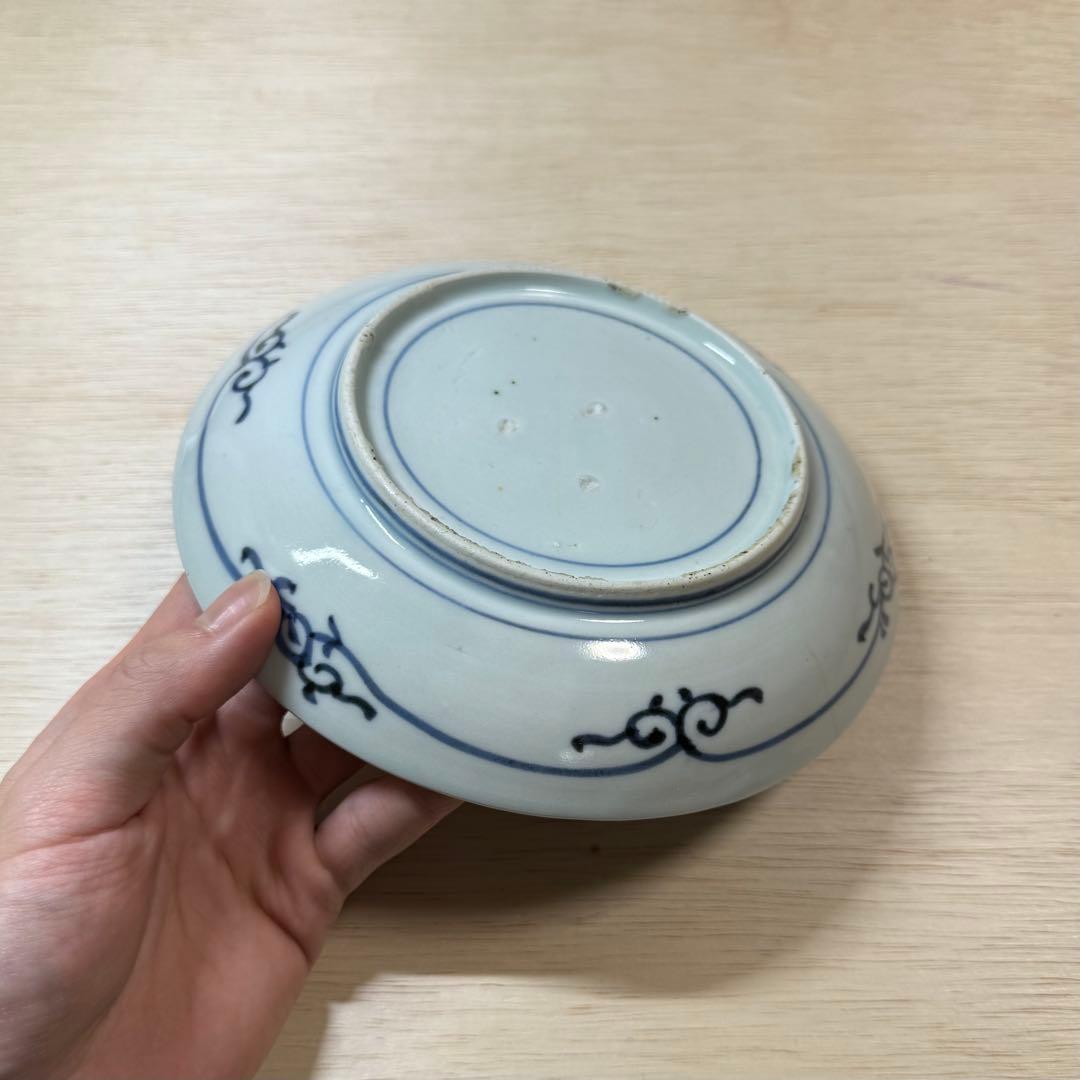 古伊万里 染付 こんにゃく印判 六寸皿 中皿 江戸時代 蒟蒻印判 古美術 骨董