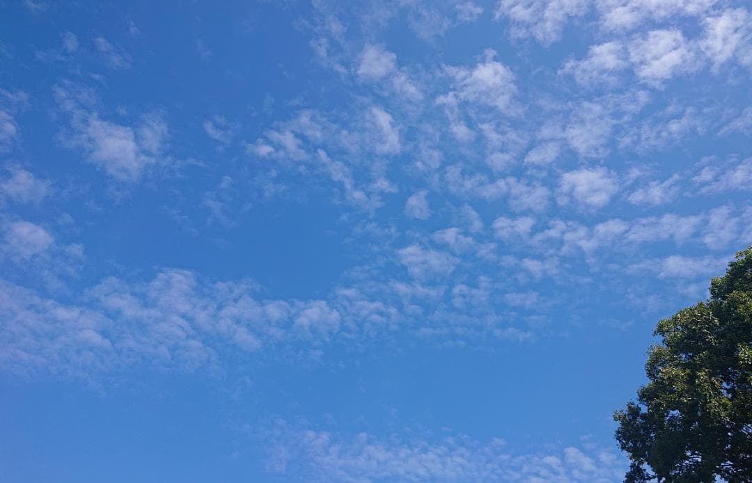 マウス画ペイントソフト作成