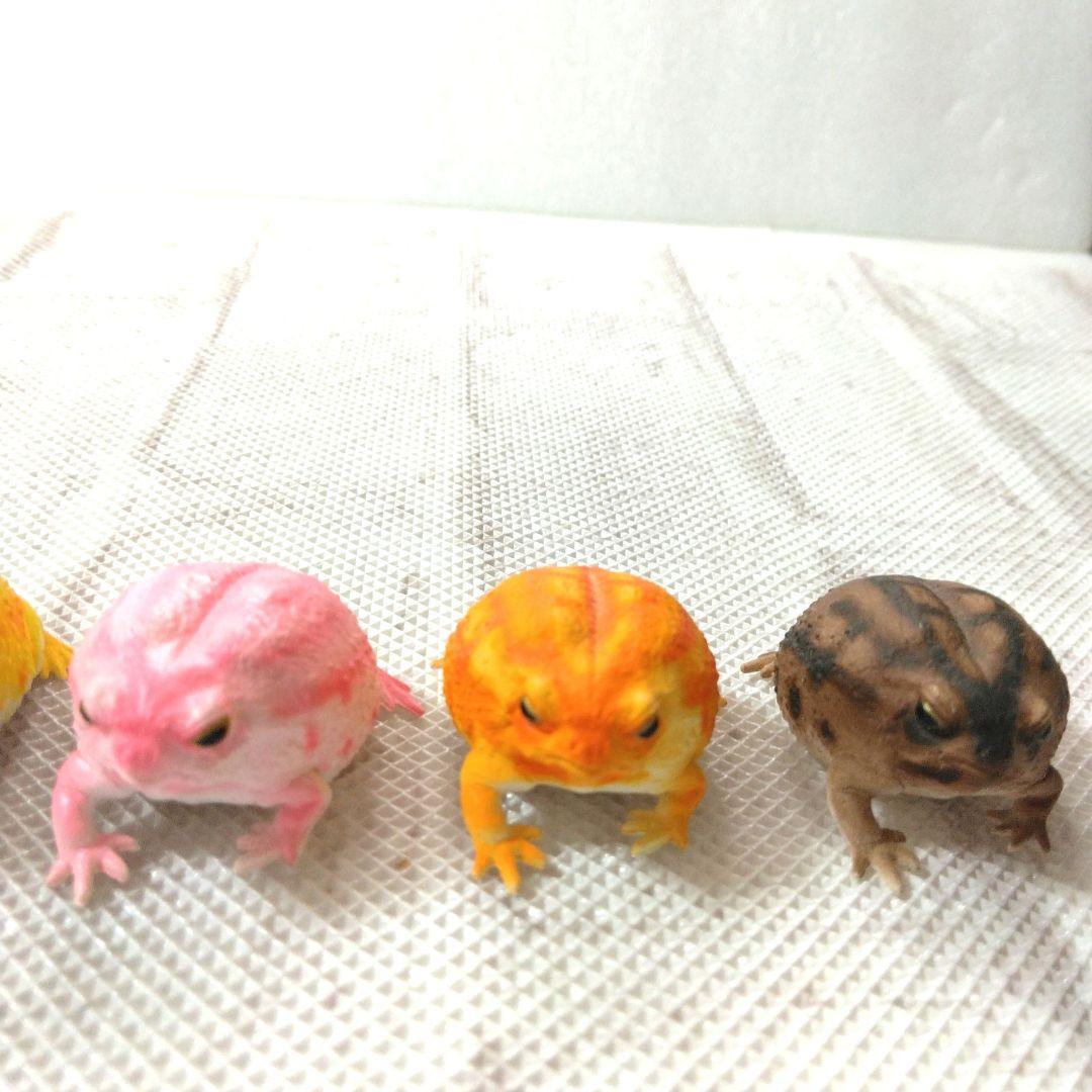 フクラガエル　リアルフィギュア　コンプリート