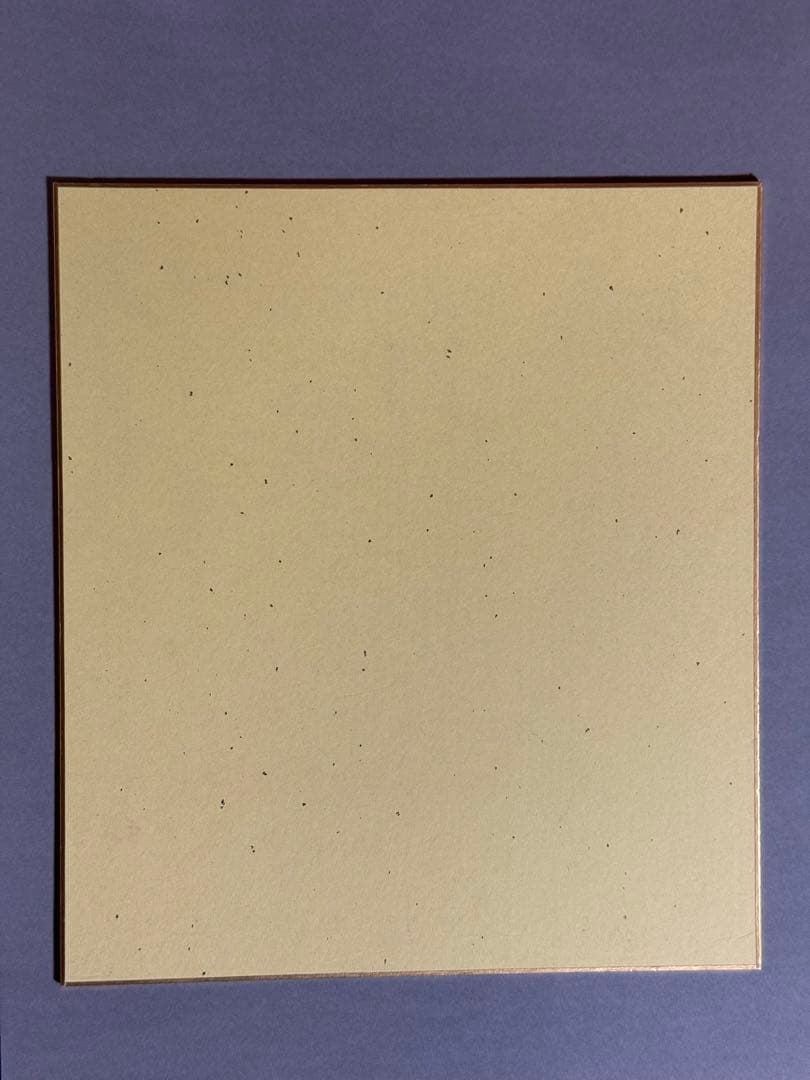 加藤玲奈(元AKB48) 直筆サイン入り色紙　抽プレ　当選品