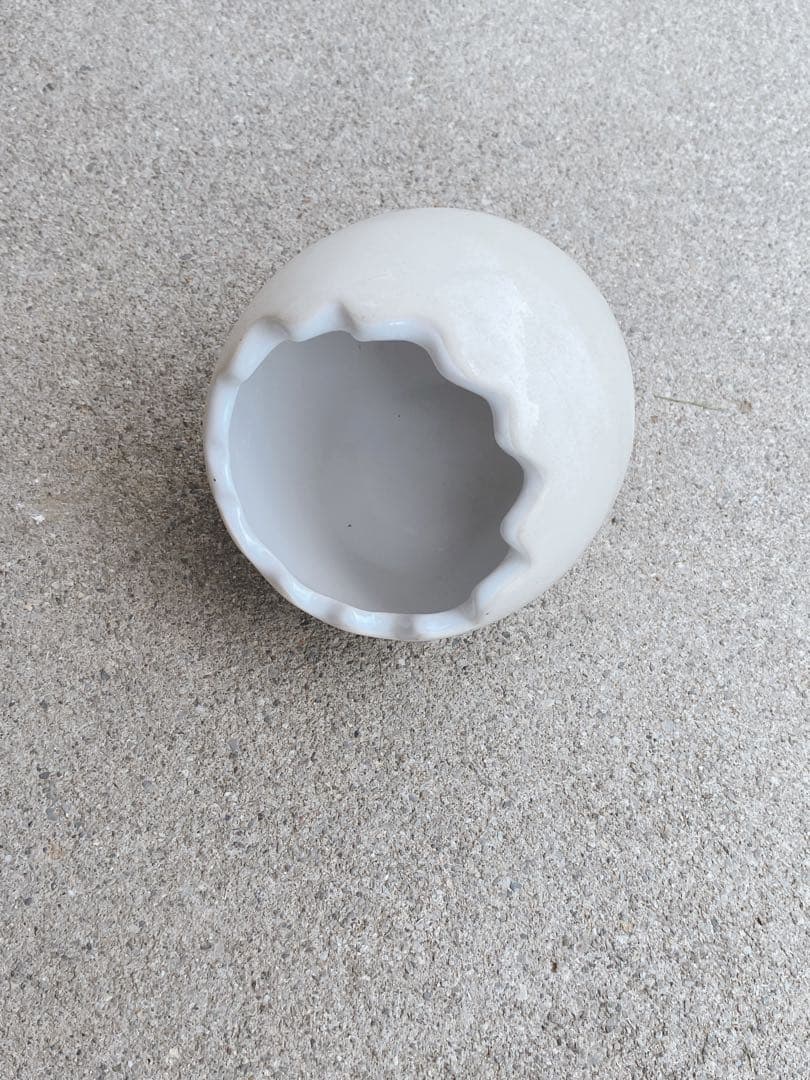 ハムスター　買い始めセット(埼玉県、直接渡しのみ)