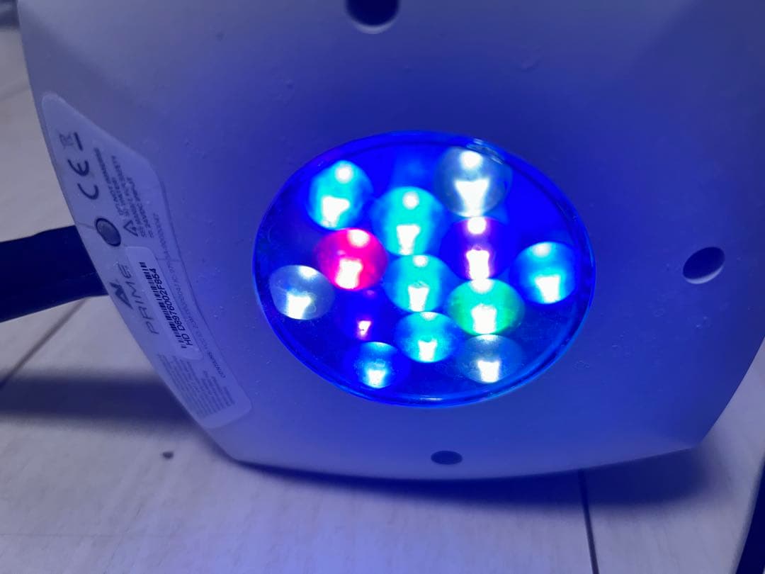 海水魚　サンゴ　LED 照明　プライム