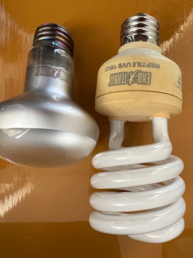 爬虫類用品セット UVランプ・エサ・温度計