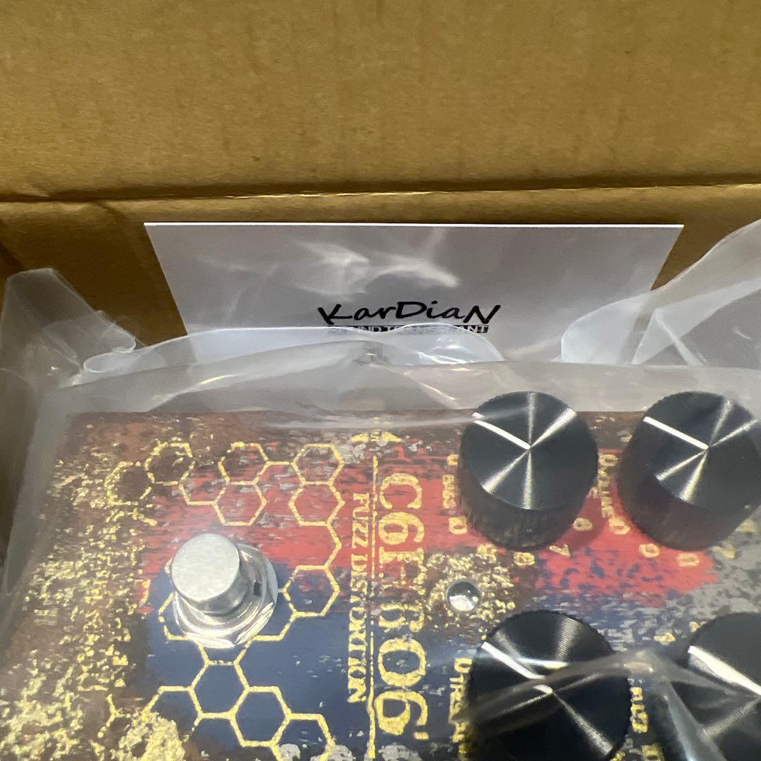 ギター KarDiaN Vitamin C Super Lucky 7 ADD CBF