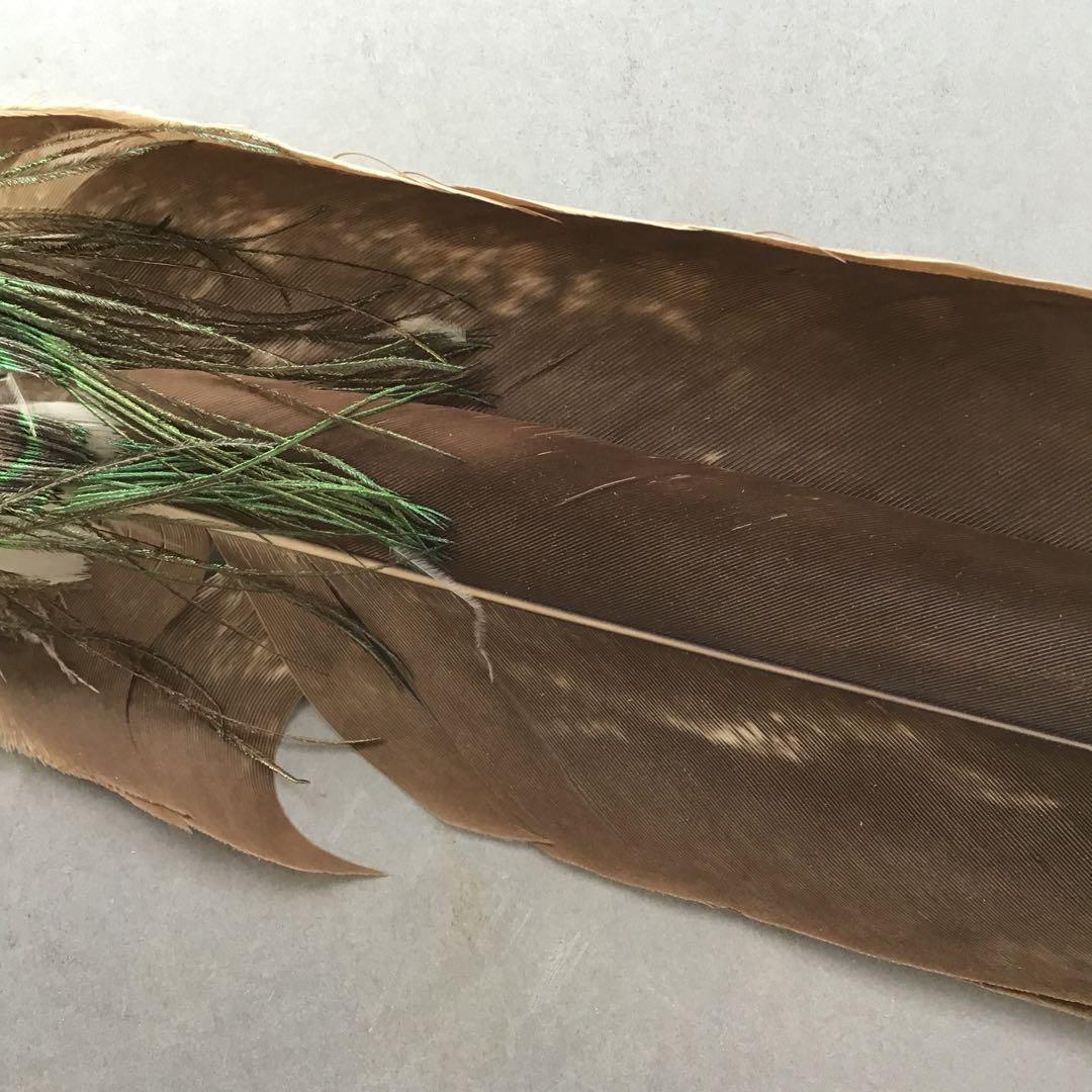 茶道具　羽箒(孔雀羽入り) 紙箱(修復歴あり、紙箱劣化有)　S21HB