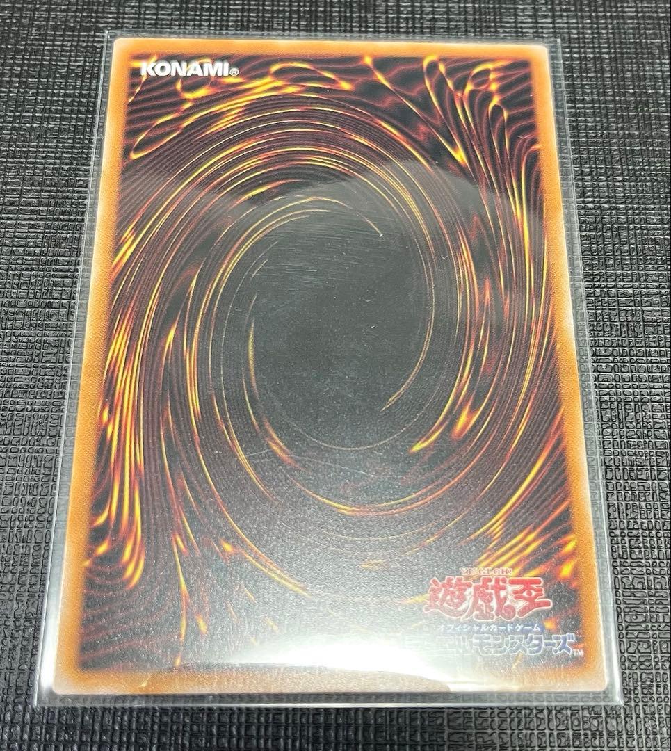 白き竜の落胤 PSE しろきりゅうのらくいん