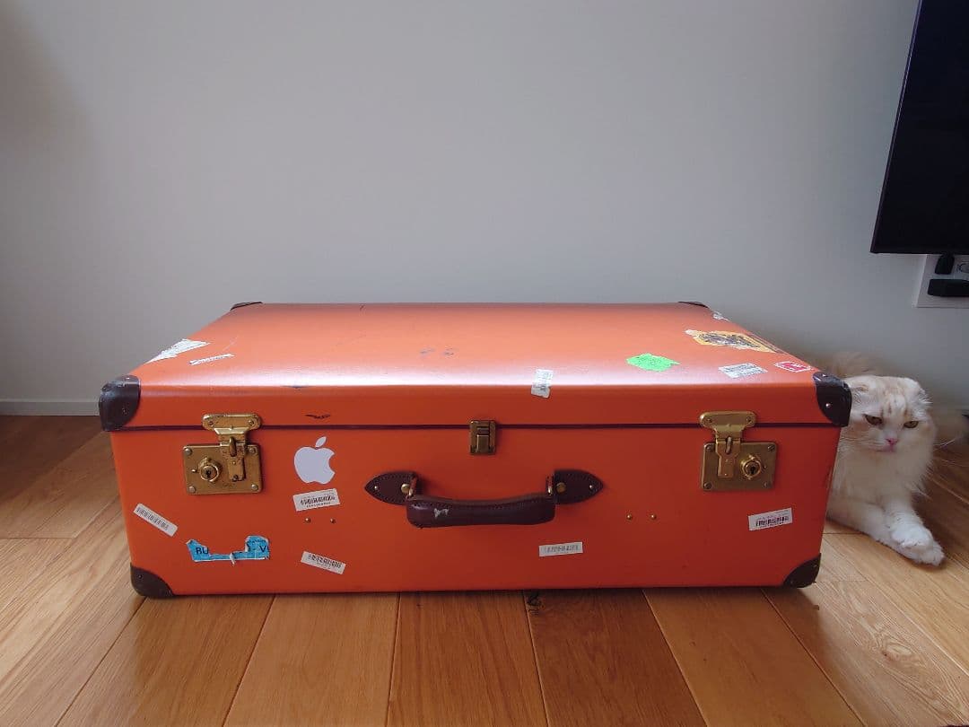 グローブトロッター オリジナル 33インチED