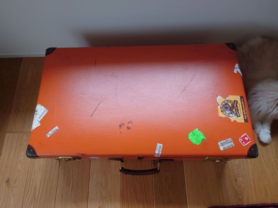 グローブトロッター オリジナル 33インチED