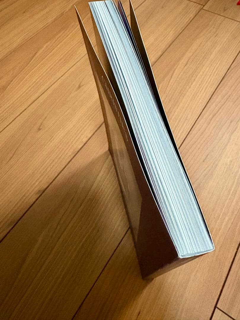 ジェフ・ベック　JEFF BECK クリスティーズギターオークション カタログ