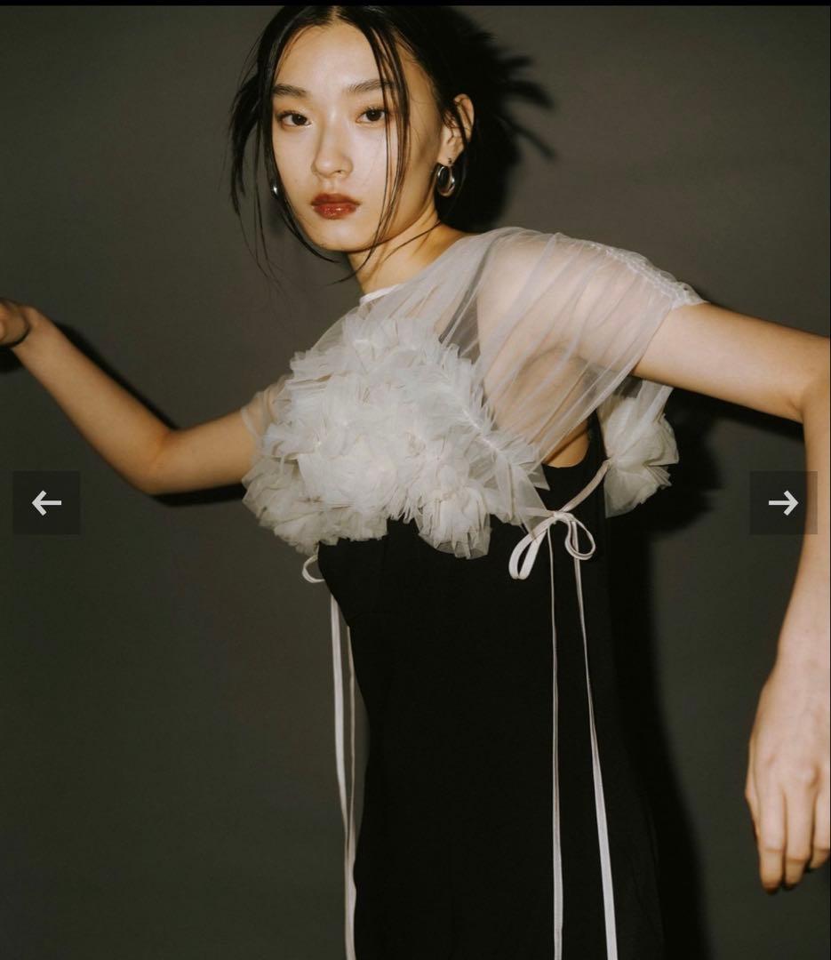 ANDRESD アンドレッスドvolume soft tulle dress