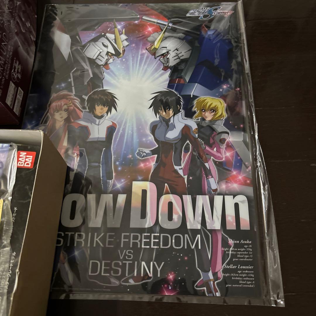 MG1/100ストライクフリーダムガンダム　フルバーストモード2点セット