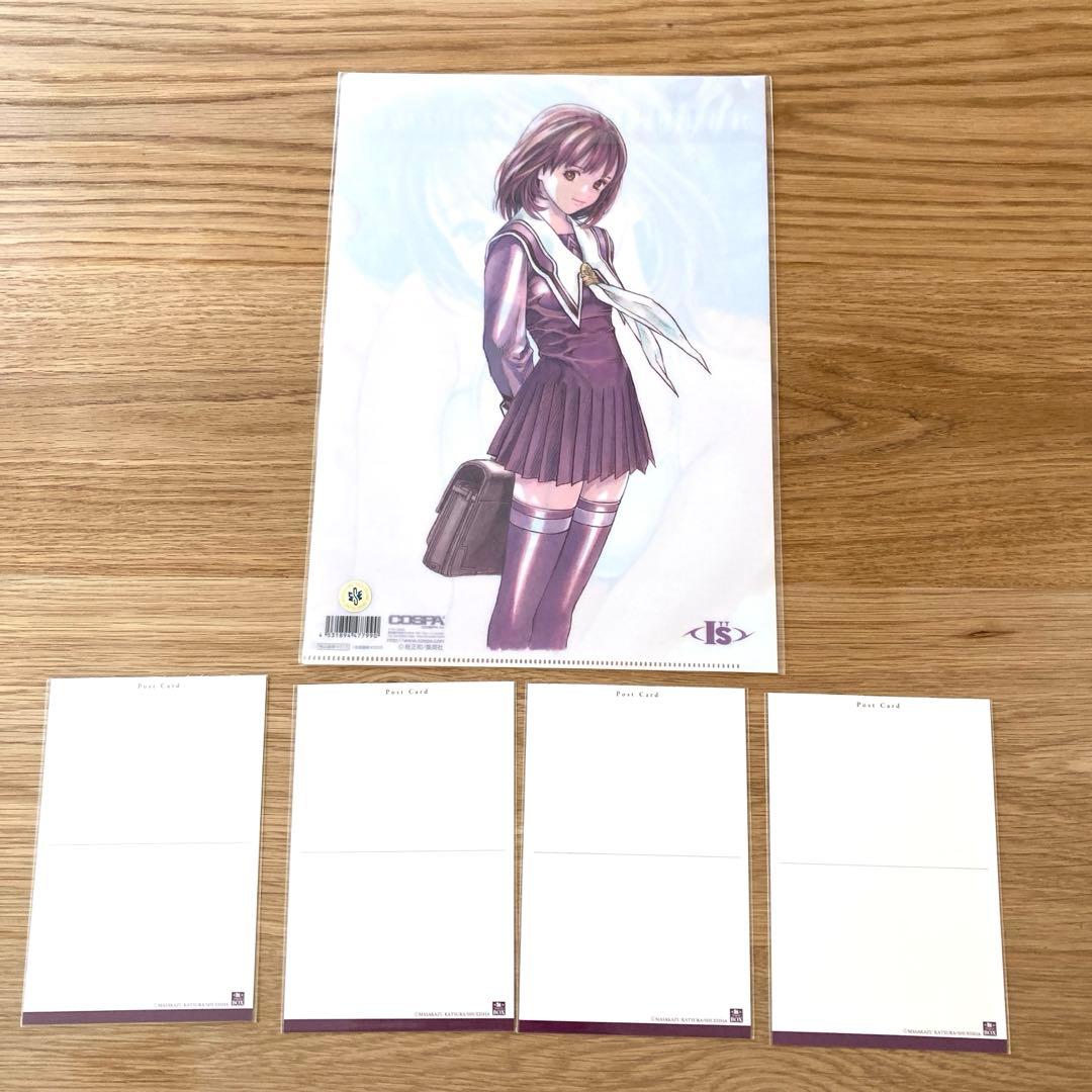 桂正和　葦月伊織　クリアファイル　ポストカード　アイズ　ウィングマン　電影少女