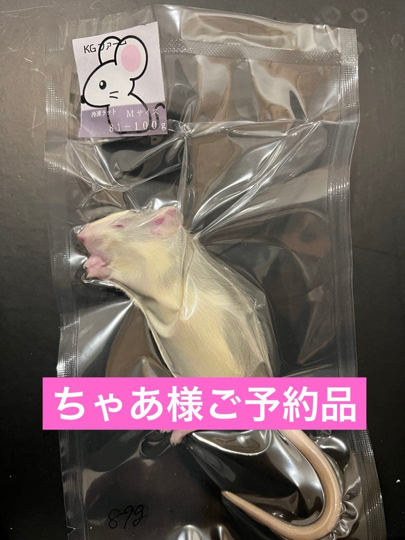 ☆冷凍ラット☆ちゃあ様ご予約品