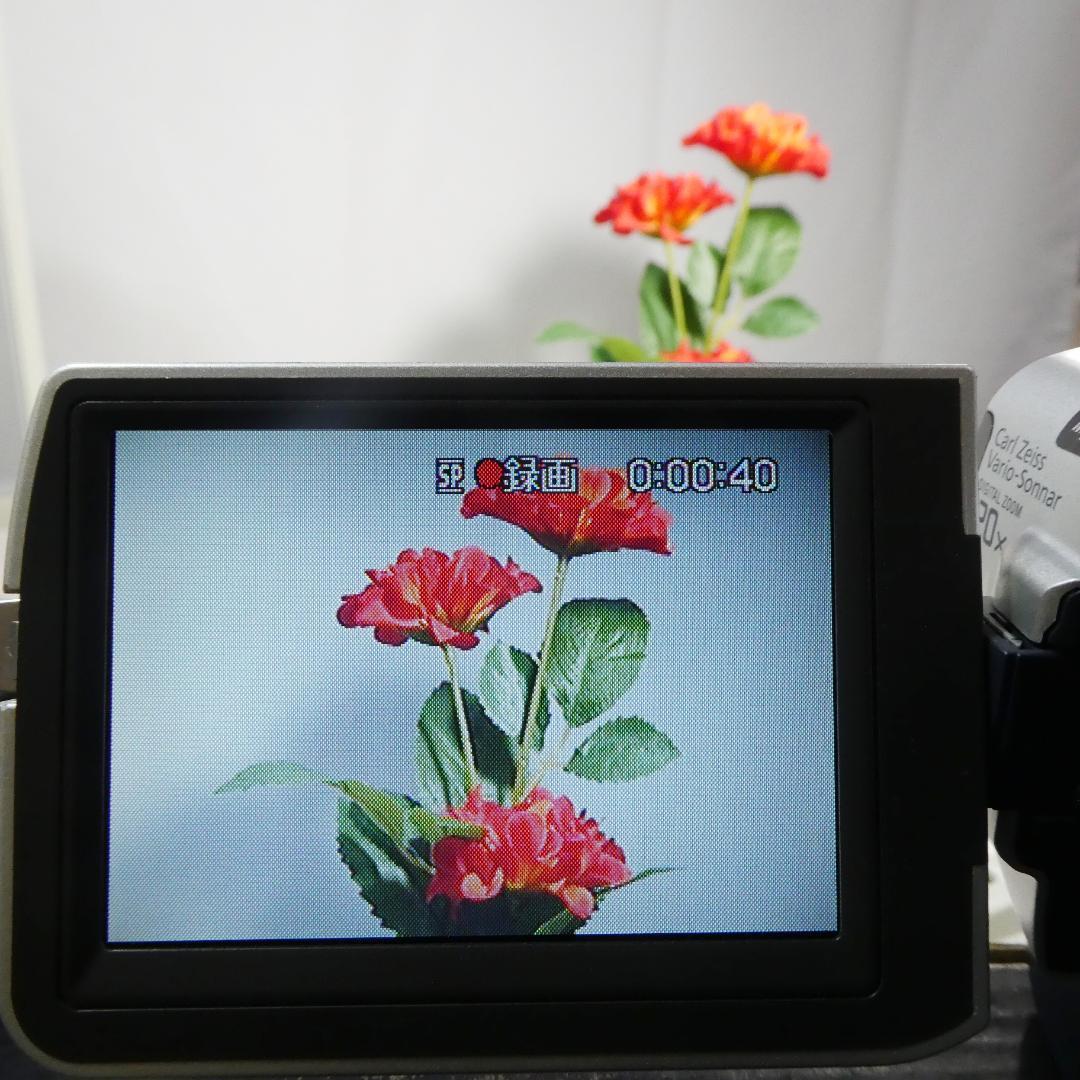 動作品 ソニーDCR-TRV17 MiniDV ビデオカメラ DVDダビングに