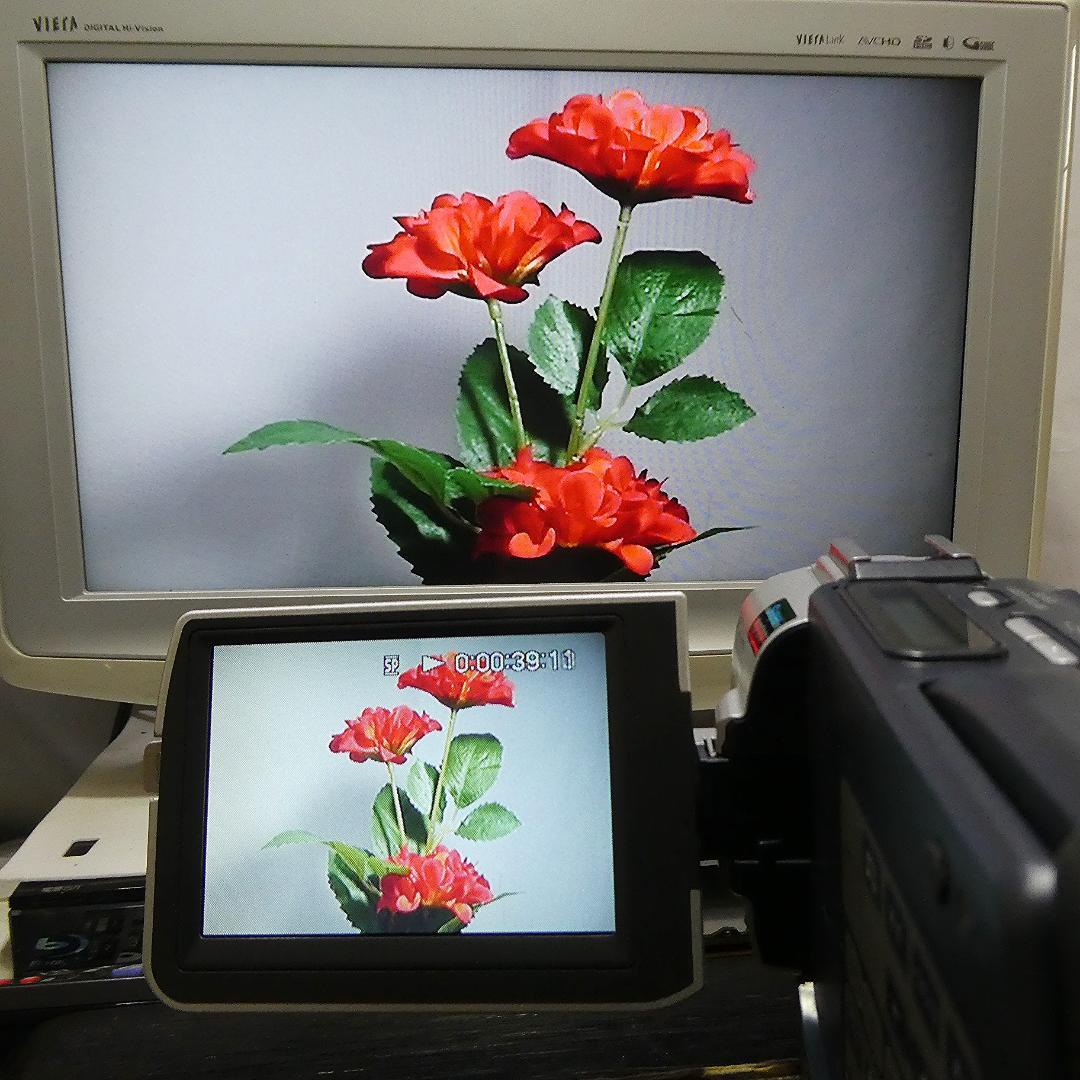 動作品 ソニーDCR-TRV17 MiniDV ビデオカメラ DVDダビングに