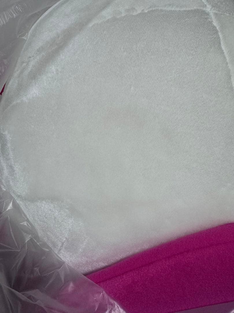 東京オリンピック　パラリンピック　ソメイティ　3L