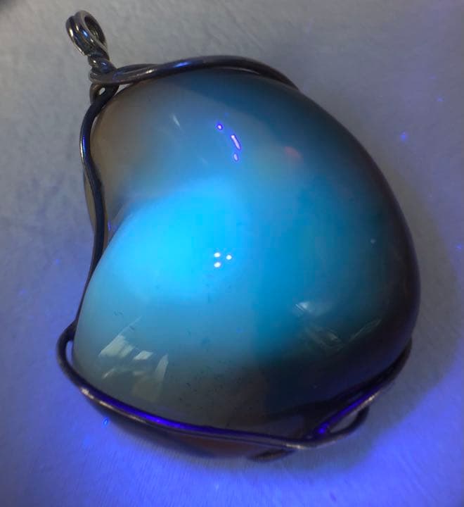 植物入りペンダント ネックレス 即納 琥珀 天然石 銀 シルバー アレルギー対応