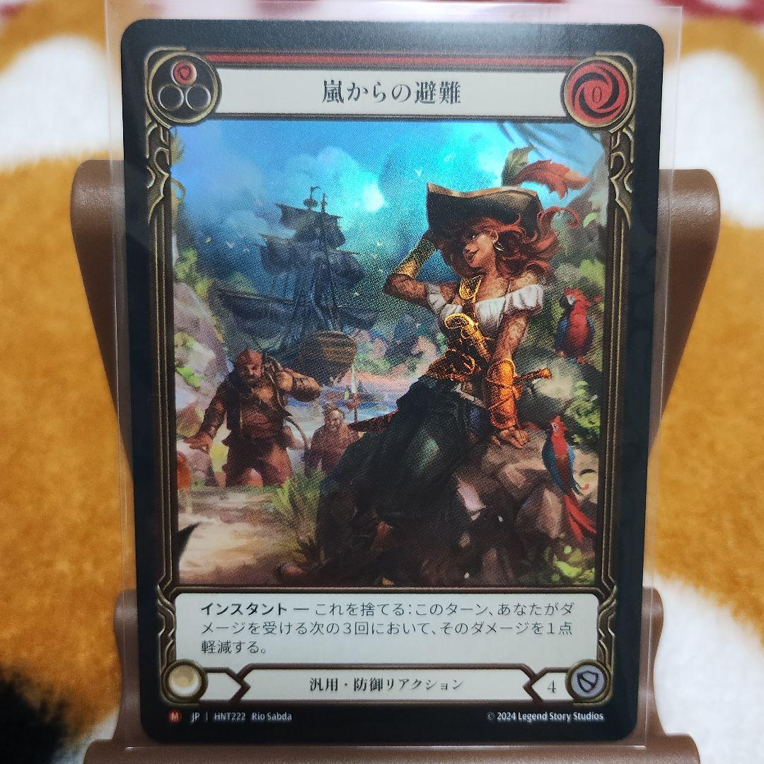 Flesh and Blood 嵐からの避難 Extended Art FaB