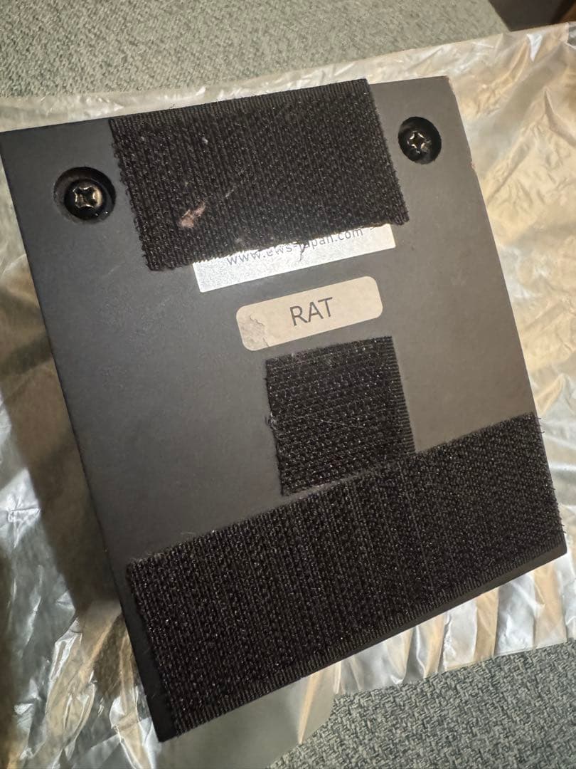 ギター Proco RAT2 white IKEBE 40th Anniversary