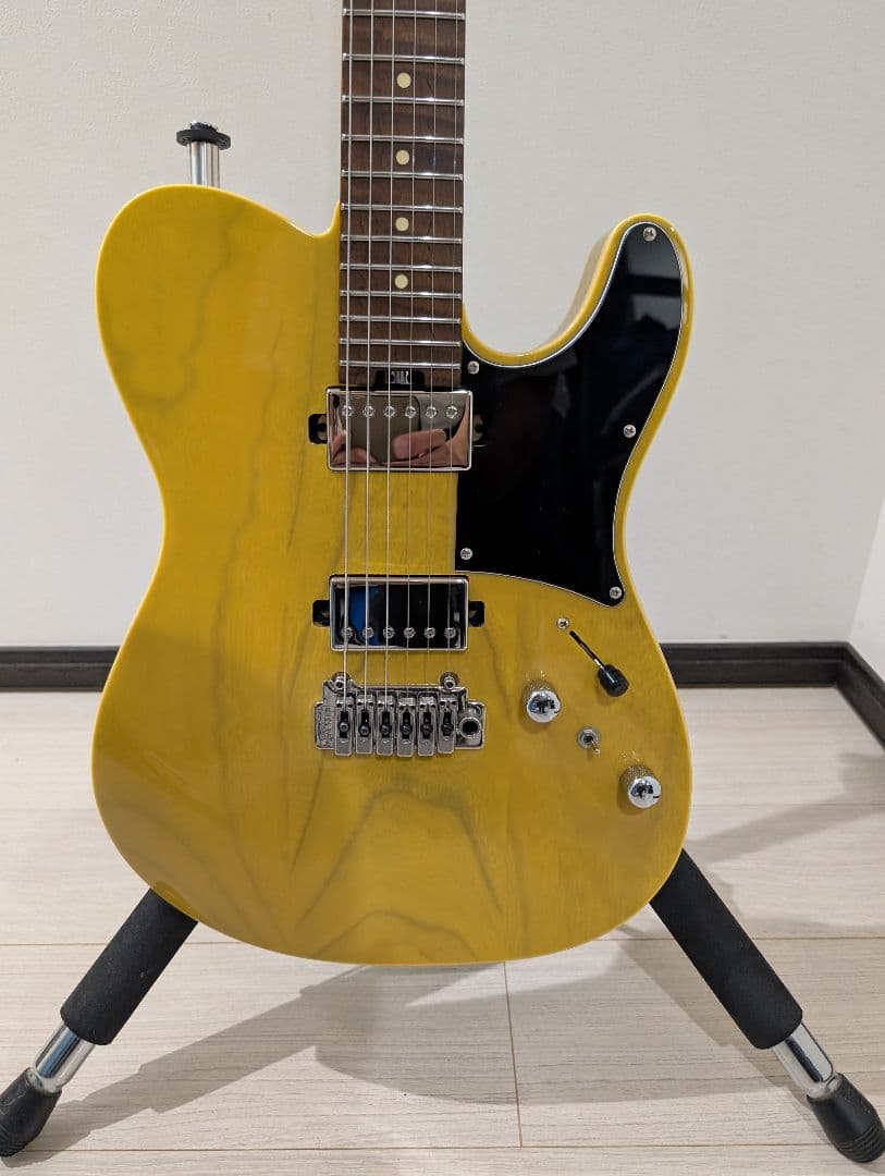 ギター Bacchus Tactics24 ash