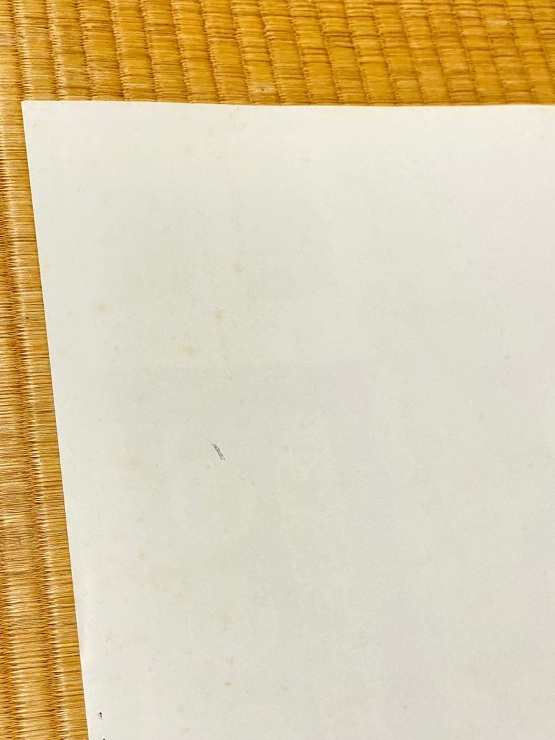 怪盗 ワリオ ザ セブン NDS B2サイズ 告知ポスター