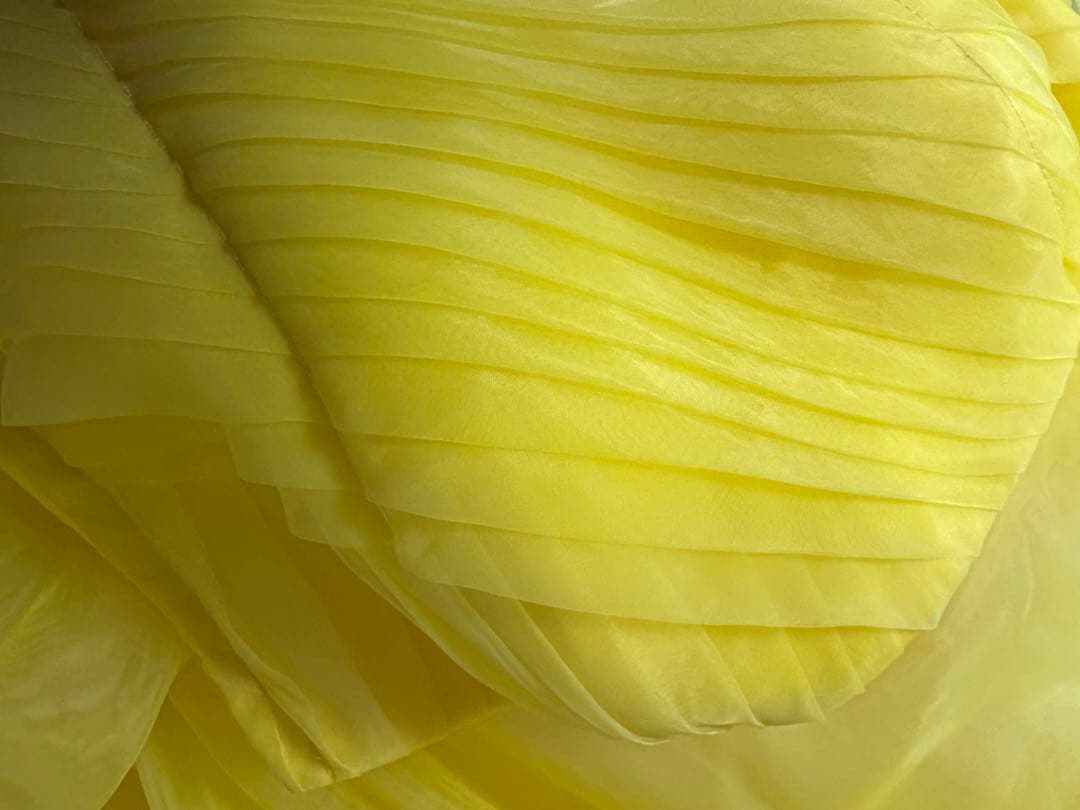 カラードレス イエロー　ウェディング 美女と野獣　演奏会