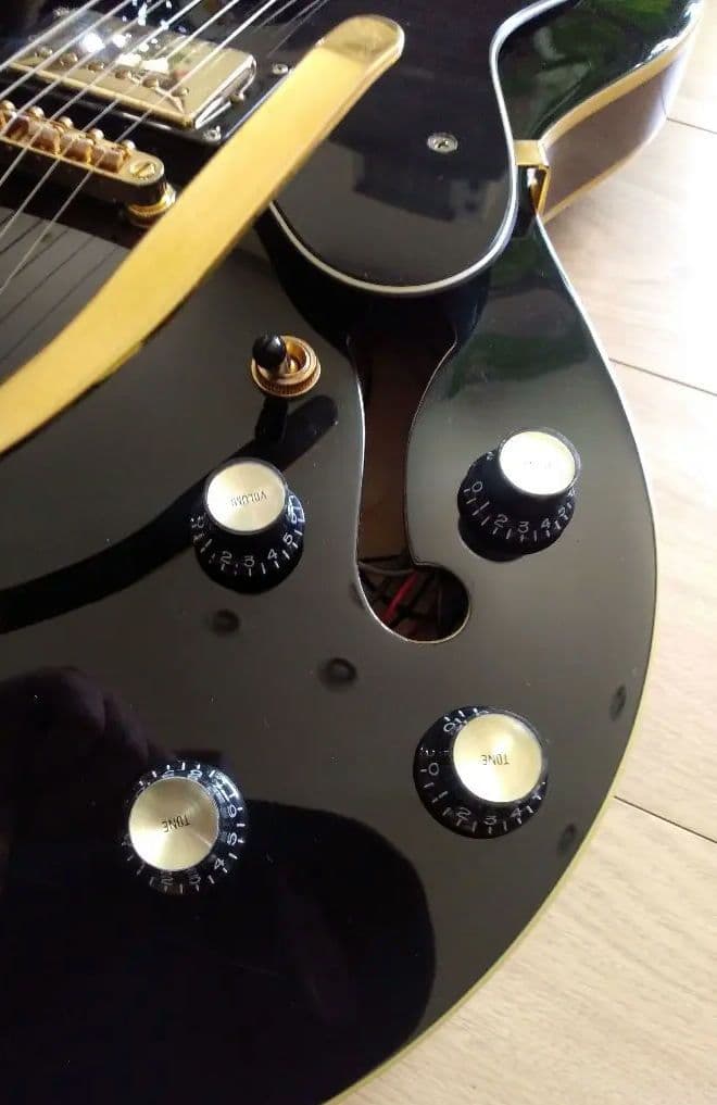 Epiphone DOT YEC bigsby エピフォン 335　セミアコ