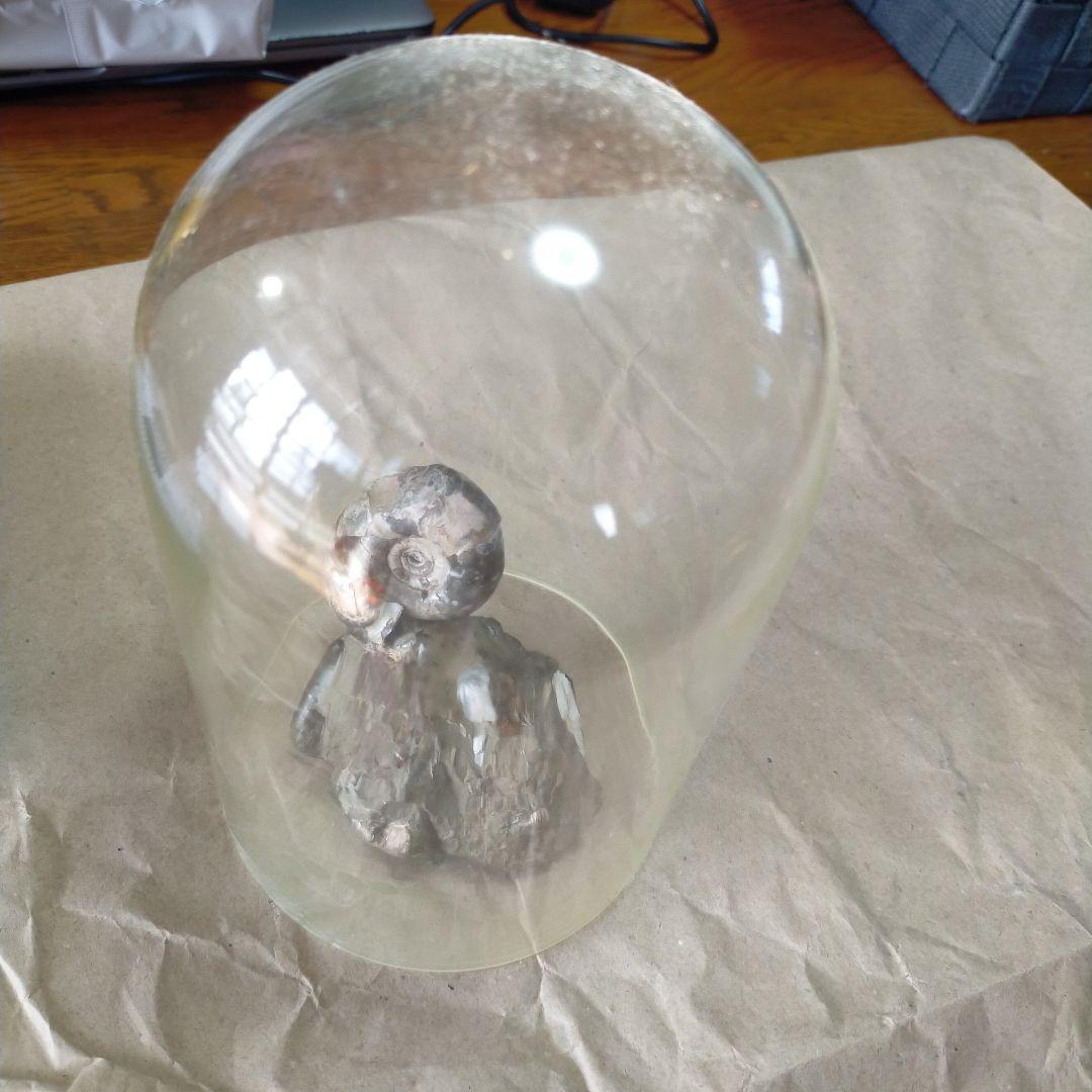 アンモナイト化石 約9cm