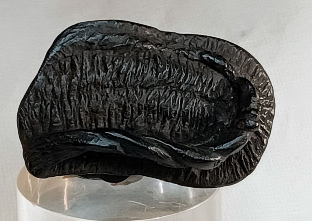 藻水 ? 在銘 銘 判読出来ず 「ぼろ草鞋に 蛙（無事帰る)」 根付 江戸時代